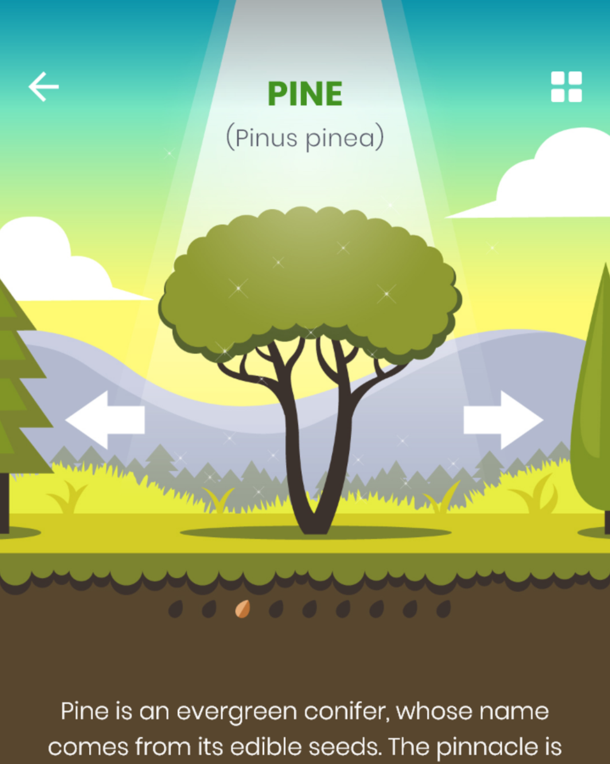 screenshot from GoPlant app, info about trees